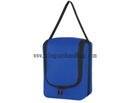 Cooler bag
