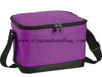 Cooler bag