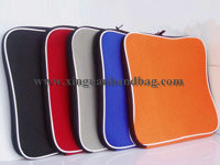 Ipad bag